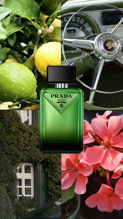 Paradigme Prada For Men – Eau De Parfum - mirror original