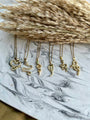Snake Collection